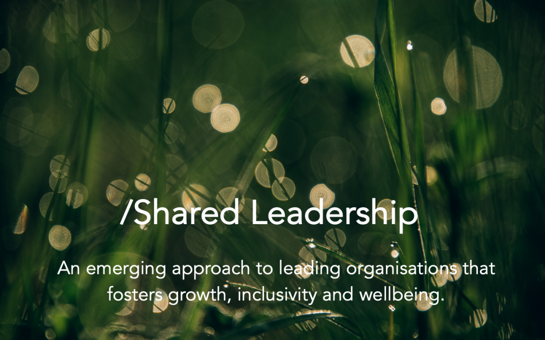 Shared Leadership: How thriving leadership teams are evolving